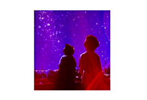 … e le stelle !